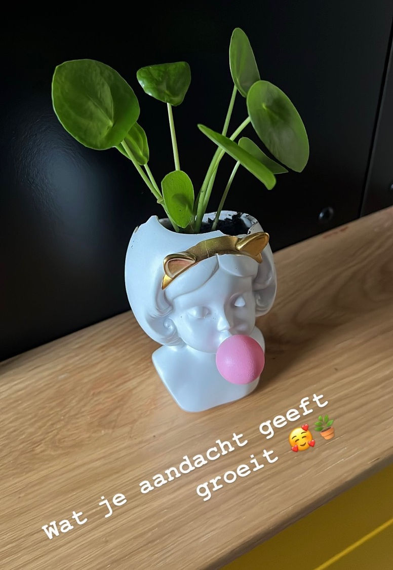 aandacht